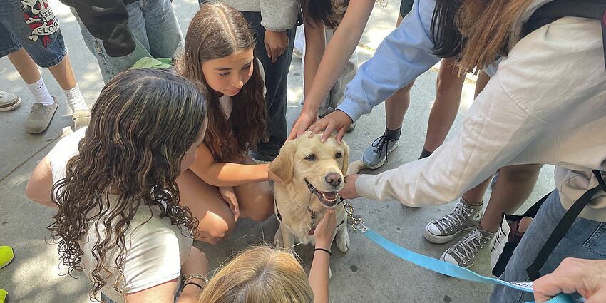 Canine Companions