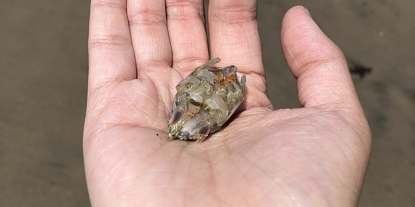 7th Grade Field Trip