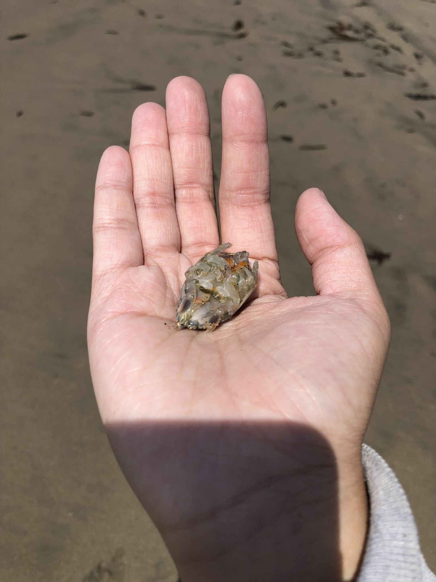 7th Grade Field Trip