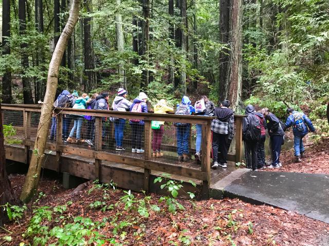 PHOTO OF 6TH GRADE SCIENCE CAMP STUDENTS PEERING OVER THE FOOTBRIDGE AT THE CREEK BELOW.